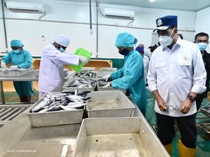 Bandara Frans Kaisiepo Dukung Kelancaran Ekspor Perikanan di Biak