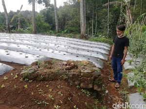 Menyingkap Kuburan dan Puing Peninggalan Belanda di Cigumentong Sumedang