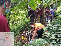 Mayat Bayi Ditemukan Terkubur Terbungkus Sajadah di Kebun Kopi Jember