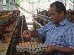 Terima Keluhan Peternak, Ketua DPD Golkar Jatim Siap Carikan Solusi