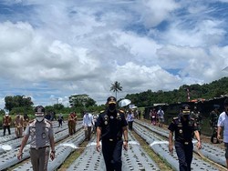 RI Ekspor 2 Ton Daun Stevia ke Korea Selatan, Dipakai buat Pengganti Gula