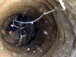 Sempat Hilang, Bocah Sukabumi Ditemukan di Sumur Sedalam 15 Meter