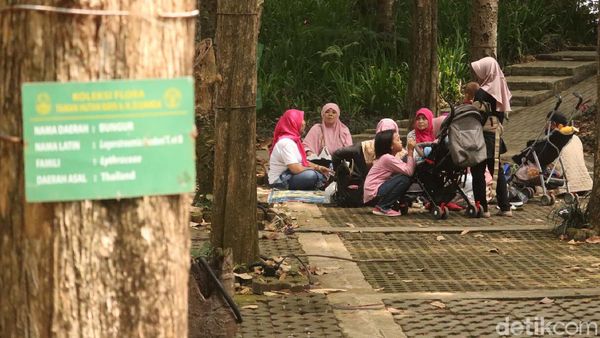 Foto: Warga Bandung Ramai Botram di Tahura