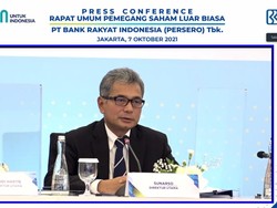 BRI Mau Terapkan Keuangan Berkelanjutan, Kaya Gimana Tuh?