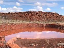 Lama Menghilang, Ratusan Hewan Mata Tiga Muncul di Amerika
