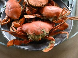 Banyak Masalah, Kepiting Ini Lakukan Hal Tak Terduga Saat Melihat Panci Hotpot