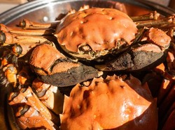 Doyan Kepiting? Ini Hukum Makan Kepiting Menurut Mazhab Ulama