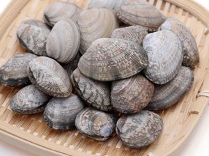 Kerang Ijo hingga Kerang Batik Jadi Menu Favorit di Seafood Gerobakan Kerang Ijo hingga Kerang Batik Jadi Menu Favorit di Seafood Gerobakan