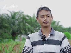 Mantan Sopir Metromini Jadi Petani Lidah Buaya, Segini Omzetnya