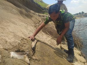 Disparbud-Arkeolog Akan Teliti Benda Diduga Fosil Hewan Purba di Saguling Disparbud-Arkeolog Akan Teliti Benda Diduga Fosil Hewan Purba di Saguling