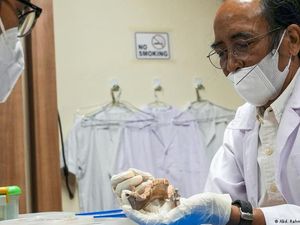 Perempuan Purba Indonesia Memperbarui Teori Penyebaran Manusia Purba Perempuan Purba Indonesia Memperbarui Teori Penyebaran Manusia Purba