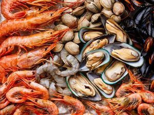 Hati-hati! Flu Singapura Bisa Menular Lewat Konsumsi Seafood Mentah Hati-hati! Flu Singapura Bisa Menular Lewat Konsumsi Seafood Mentah