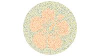 Bisakah Mata Kamu Membedakan Warna? Coba Tebak Gambar Berikut