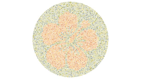 Bisakah Mata Kamu Membedakan Warna? Coba Tebak Gambar Berikut