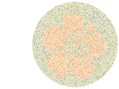 Bisakah Mata Kamu Membedakan Warna? Coba Tebak Gambar Berikut