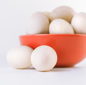 focus on raw organic duck eeg, blurred  background with red bowl  and other duck eggs on white background, isolate