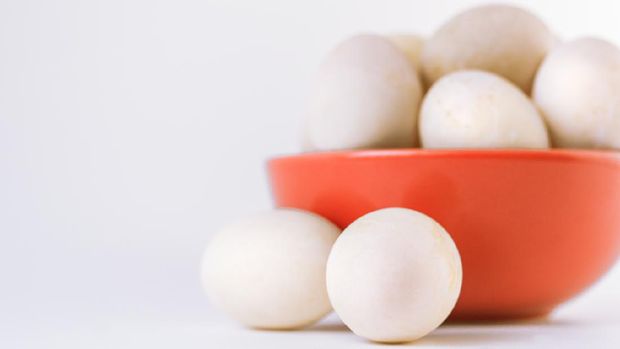 focus on raw organic duck eeg, blurred  background with red bowl  and other duck eggs on white background, isolate