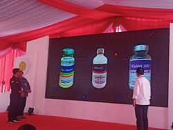 Mampu Produksi Sendiri, Indonesia Kini Tak Perlu Impor Vaksin Rabies-Flu Burung