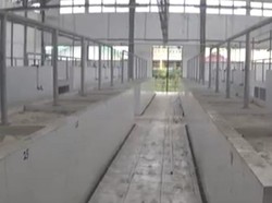 Terbengkalai, Pasar Rp 4 Miliar di Jambi Kini Dipenuhi Debu-Kotoran Hewan