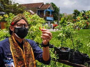 Durasi Karantina Turis Asing Dipersingkat, Apa Alasannya? Durasi Karantina Turis Asing Dipersingkat, Apa Alasannya?