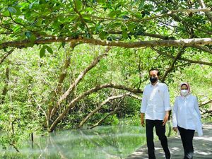 Isu Perubahan Iklim di COP26: Jokowi: Komitmen RI Menjadi Bagian Solusi