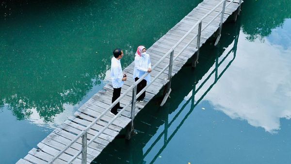 Potret Jokowi dan Iriana Berduaan Susuri Hutan Mangrove di Bali