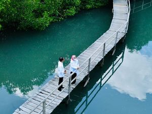 Potret Jokowi dan Iriana Berduaan Susuri Hutan Mangrove di Bali