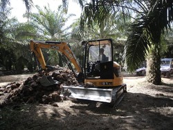 2 PR Pemerintah Genjot Produktivitas Kebun Sawit di Indonesia