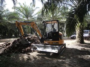 2 PR Pemerintah Genjot Produktivitas Kebun Sawit di Indonesia 2 PR Pemerintah Genjot Produktivitas Kebun Sawit di Indonesia