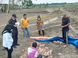 Ini Hasil Penelitian Sementara dari Temuan Struktur Batu Bata di Lamongan