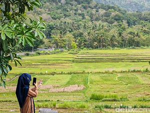 Vaksin with a View Ada Lagi, Kini Berlatar Sawah dan Perbukitan Menoreh