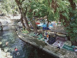 Pemeliharaan Jaringan PLN di Klaten Hari Ini, Cek Daerah yang Padam
