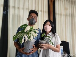 Trik Nambah Follower di Instagram Saat Memulai Bisnis