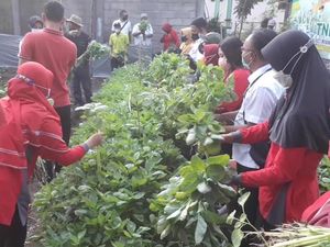 Kampung di Pasuruan Sukses Terapkan Urban Farming Saat Pandemi COVID-19 Kampung di Pasuruan Sukses Terapkan Urban Farming Saat Pandemi COVID-19