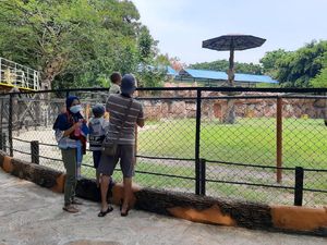 Weekend Pertama Pengunjung KBS Belum Ramai Weekend Pertama Pengunjung KBS Belum Ramai