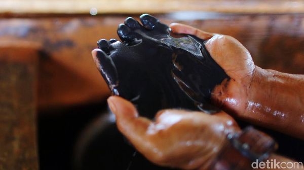 Penampakan Harta Karun Indonesia yang Jadi Rebutan Dunia