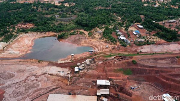 Bangga Banget! Indonesia Punya Harta Karun yang Jadi Rebutan Dunia