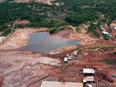 Bangga Banget! Indonesia Punya Harta Karun yang Jadi Rebutan Dunia