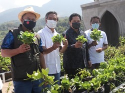 Erick Thohir Mau Halaman Masjid BUMN Ditanami Sayur, Caranya?