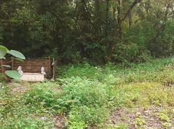 Munculnya Makam Misterius di Jalur TWA Kawah Ijen Bikin Ngeri Pengunjung