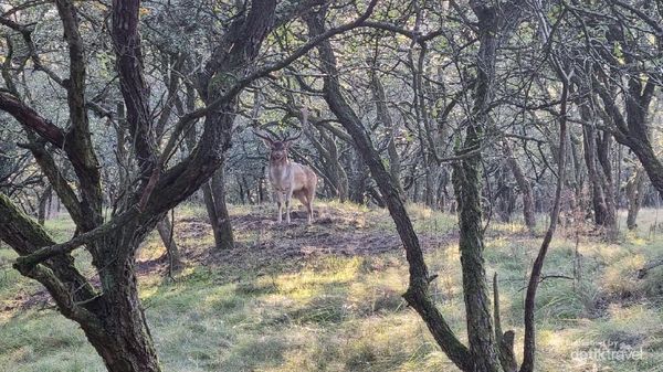 Senja nan Sejuk di Sudut Kota Zandvoort Belanda