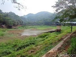 Curhat Pedagang soal Situ Sipatahunan Dikeringkan Setahun