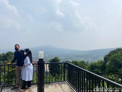 Pancar Garden hingga Pendopo Ciherang, Ini 5 Kafe Viral di Sentul