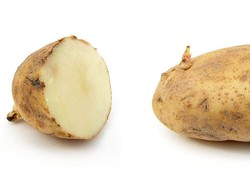 10 Website di Internet yang Paling Tidak Berguna