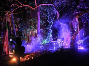 Baru Nih! Ada Wisata Malam Hutan Menyala di Bandung Baru Nih! Ada Wisata Malam Hutan Menyala di Bandung