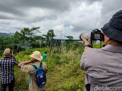 Kisah Desa Ramah Burung di Kulon Progo: Dulu Memburu, Kini Melindungi