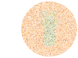 Kelihatan Jelas atau Samar? Uji Ketelitian Mata lewat Tebak Gambar Buah Ini