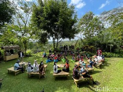 Akhir Pekan di Banyuwangi, Ada Jazz Kopi di Lereng Ijen