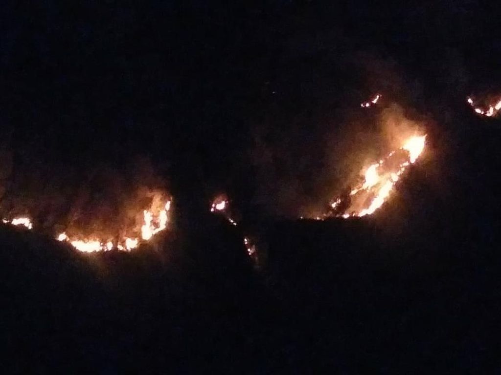 Kebakaran Terjadi di 2 Titik Taman Nasional Bromo Tengger Semeru