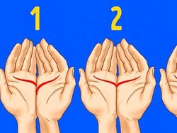 Tes: Gabungkan Kedua Telapak Tanganmu, Garis Pada Gambar Mana Yang Sesuai?